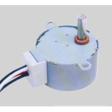 AC Synchronous Motor (49TDY-F)